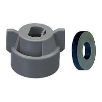 Picture of NOZZLE 114441A-9-CELR GREY QUICK TEEJET CAP AND GASKET  (REPLACES 25612-9-NYR)